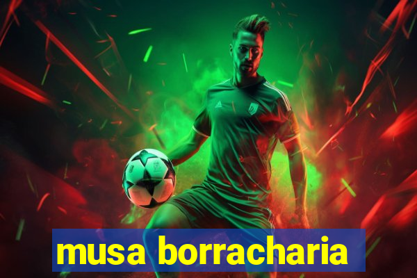 musa borracharia